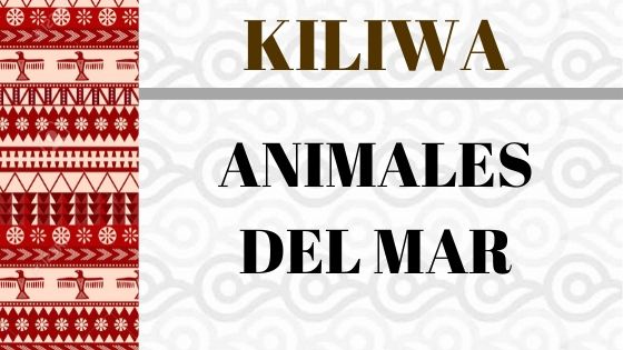 KILIWA-ANIMALES-DEL-MAR