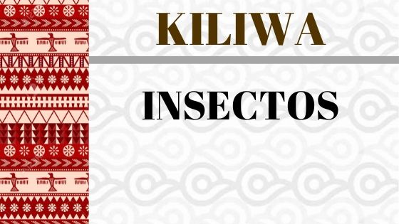KILIWA-INSECTOS-VOCABULARIO