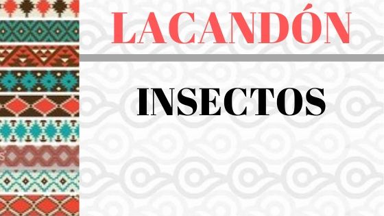 LACANDON-INSECTOS-VOCABULARIO