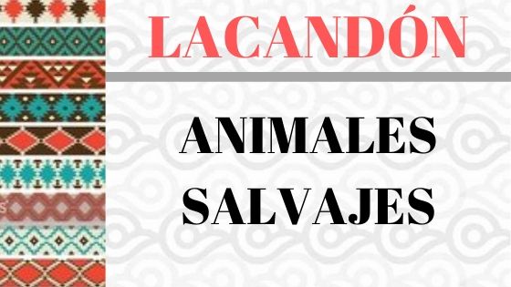 LACANDON-VOCABULARIO-ANIMALES