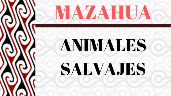 MAZAHUA-VOCABULARIO-ANIMALES-SALVAJES
