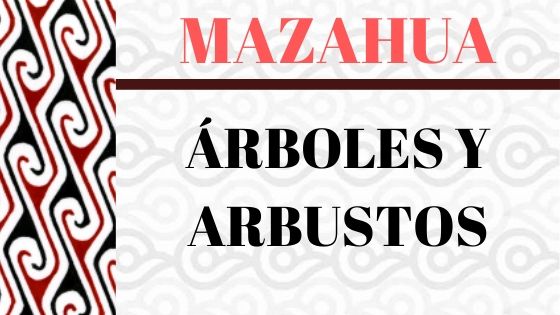 MAZAHUA-VOCABULARIO-ARBOLES