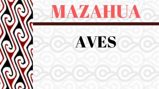MAZAHUA-VOCABULARIO-AVES