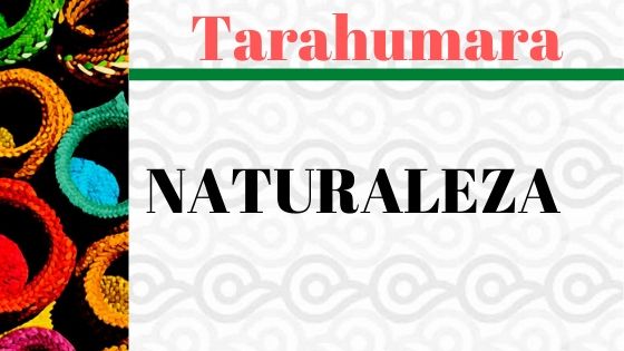TARAHUMARA-NATURALEZA-VOCABULARIO.jpg