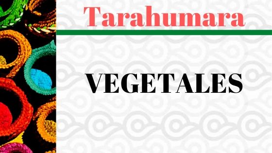 TARAHUMARA-VEGETALES-VOCABULARIO.jpg