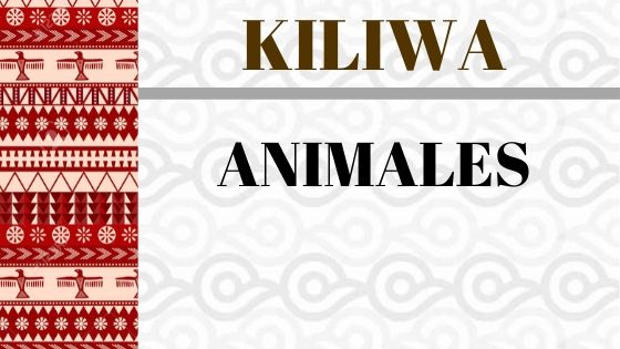VOCABULARIO-KILIWA-ANIMALES