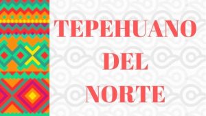 Tepehuano del Norte - Lengua Indígena